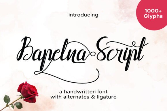 Bapelna Script Font for Handmade Products