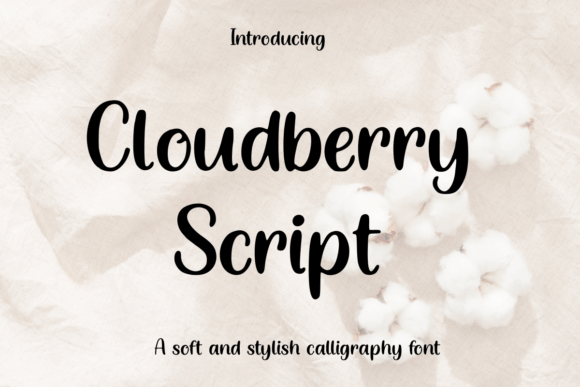 Cloudberry Script Font: A Real Branding Case Study