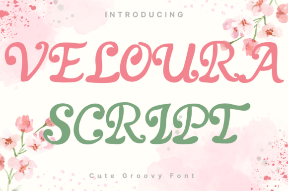 Veloura Script Font Review for Digital Campaigns