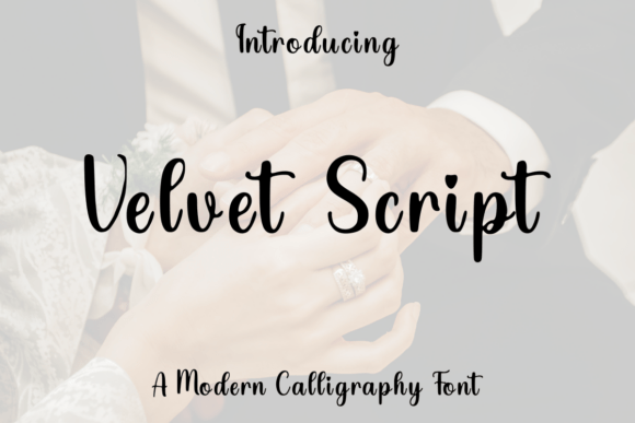 Velvet Script Font Review for Campaign Design